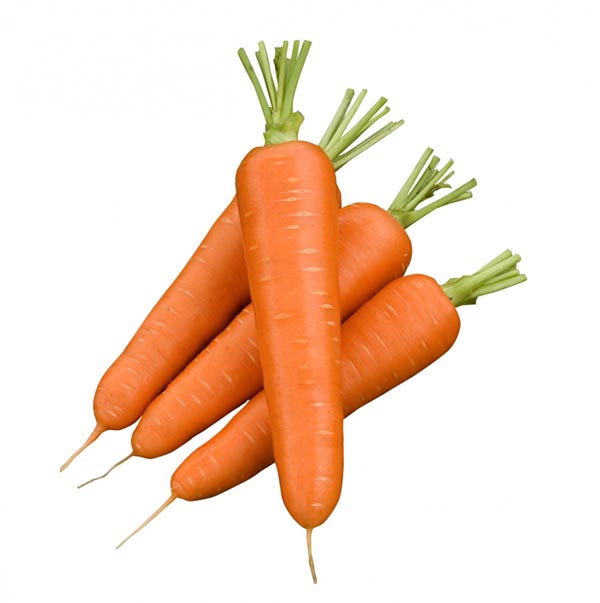 Купить семена моркови в интернет магазине Капля